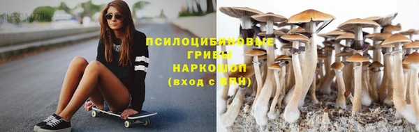 герыч Бронницы