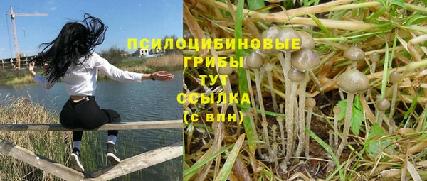 герыч Бронницы
