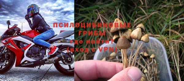 герыч Бронницы